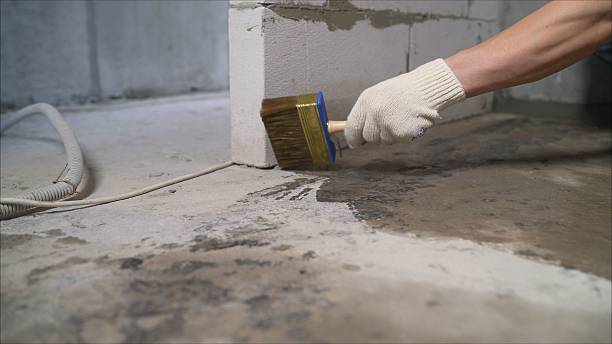 SJ Waterproofing Pros Waterproofing coverage map for Litchfield, MN and surrounding area